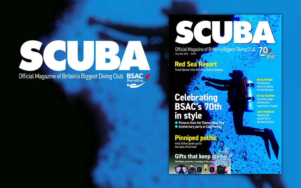 iSCUBA issue 141