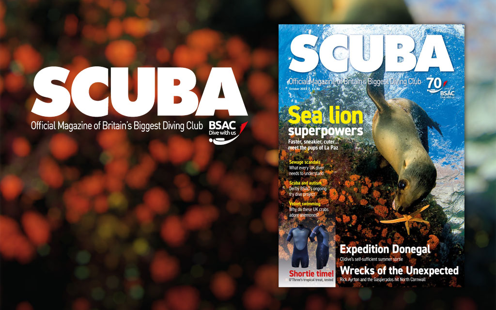 Front cover for iSCUBA issue 139