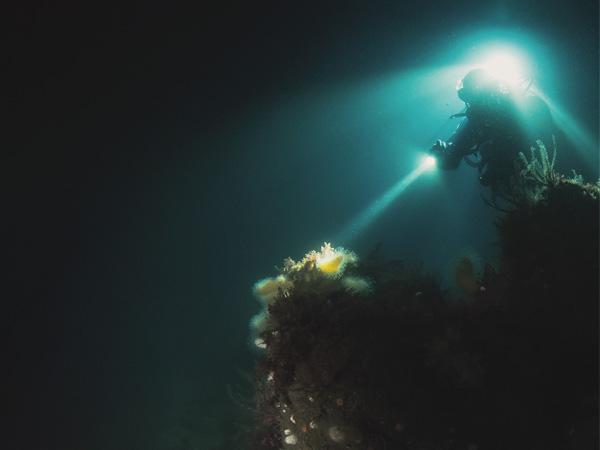 Matt Knowles of Burnley SAC explores the wreck of the Breda at night
