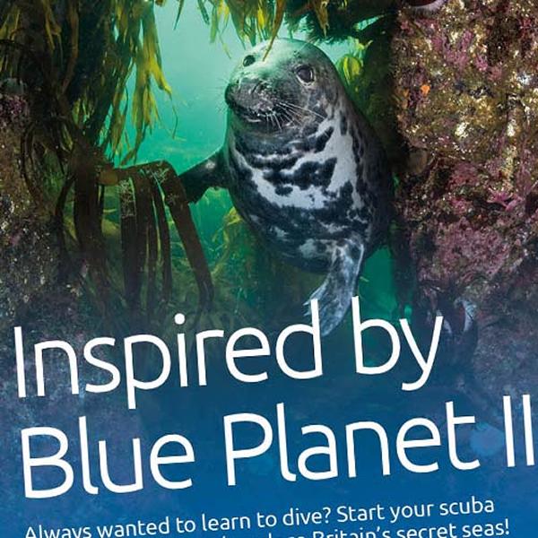 Thumbnail photo for Download Blue Planet II posters