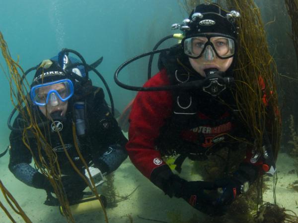 Thumbnail photo for 6 reasons why you should make learning to dive your post-lockdown activity