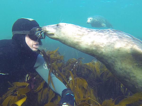 Thumbnail photo for Top marine life you’ll meet while snorkelling in the UK