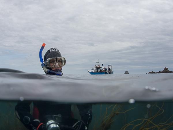 Thumbnail photo for Discover the best of British snorkelling