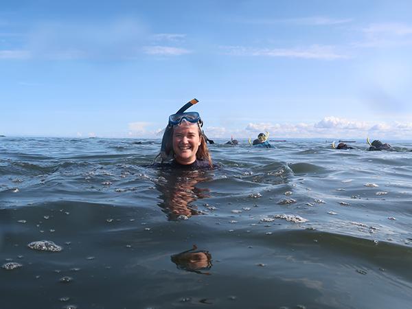 Thumbnail photo for Seagrass in spotlight for Scottish snorkellers
