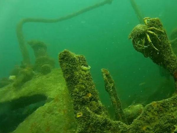 Thumbnail photo for Gwynfaen wreck in the Llyn Peninsula