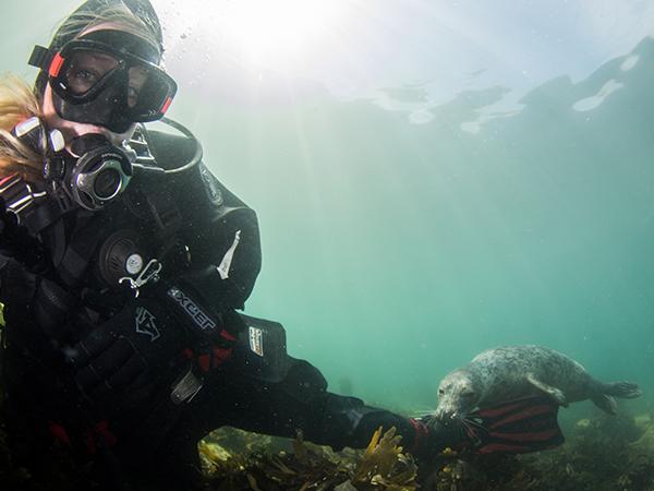 Thumbnail photo for How to become a scuba diver during Covid