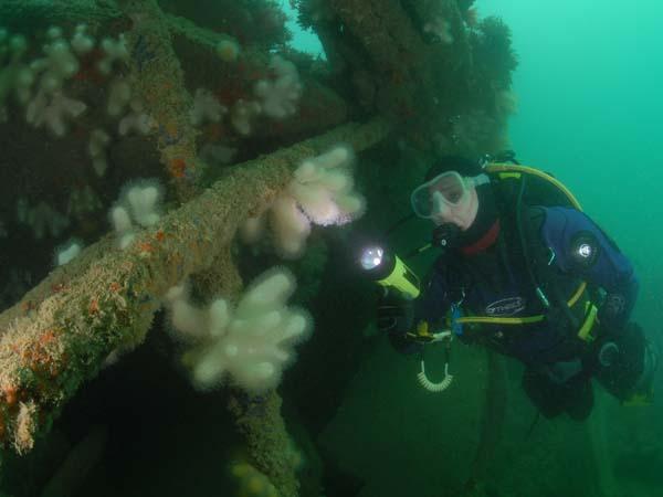 Thumbnail photo for BSAC supports new protection application for historic Mulberry harbour site