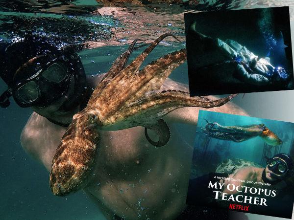 Thumbnail photo for 2 amazing underwater films on Netflix