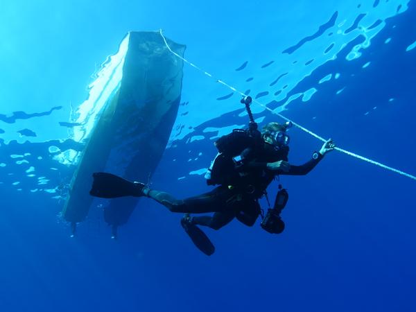 Thumbnail photo for Exclusive discounts as a BSAC member with Regaldive