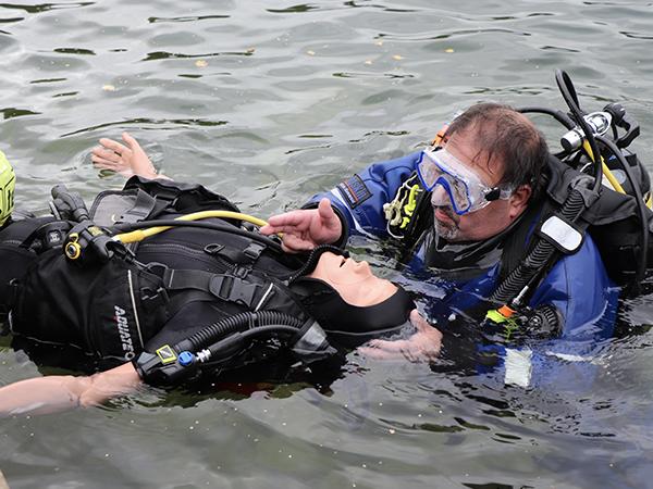 Thumbnail photo for New Sports Diver update includes essential guidance on IPO