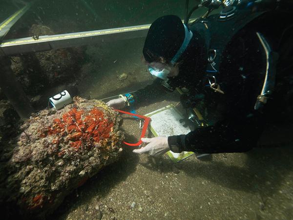 Thumbnail photo for Helpful hacks for underwater survey success
