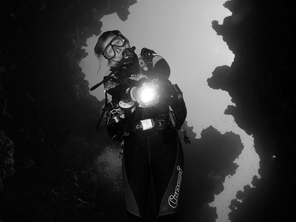 Thumbnail photo for The Diver 