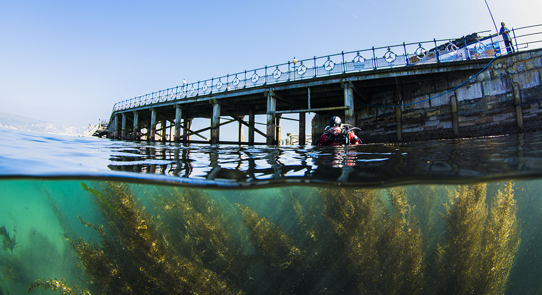 A diver at the surface near a pier at Swanage