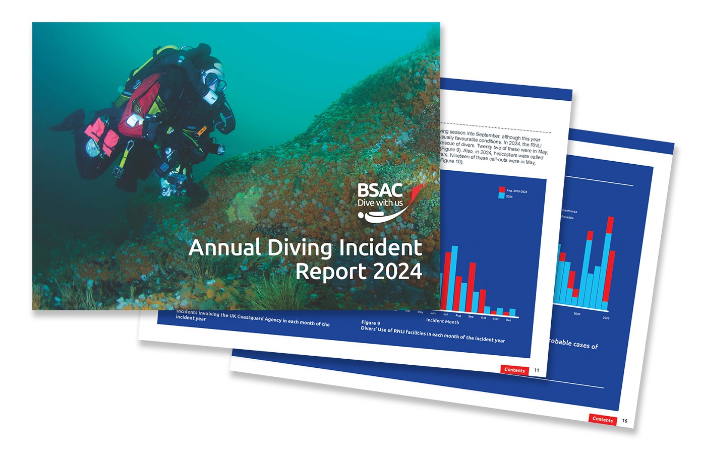 Incident Report 2024 graphic