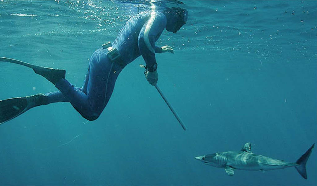 Charles Hood - Andy Torbet snorkelling with Mako shark
