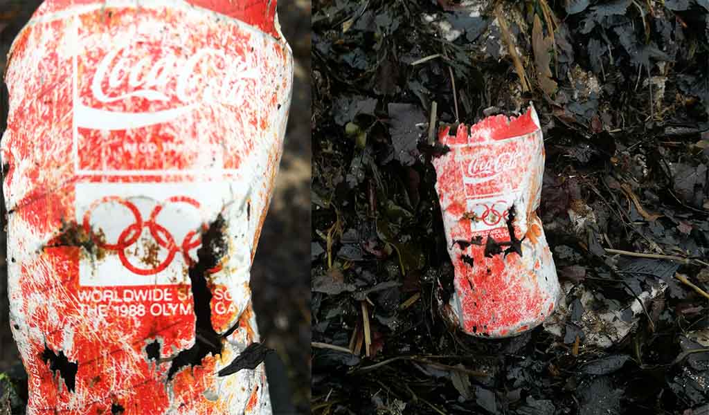 Coca Cola can from 1988 - MCS Beach Clean