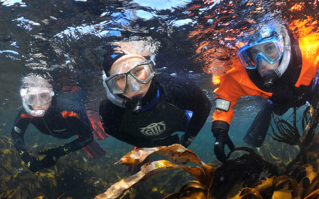 Three snorkellers looking at the camera