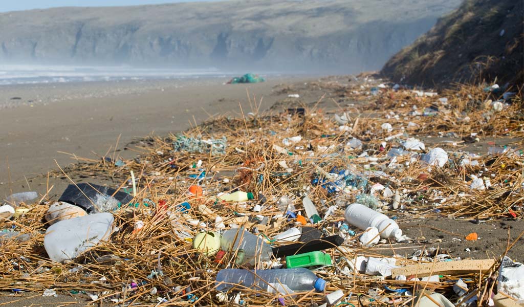 The scale of the plastic problem on UK beaches - Greg Martin