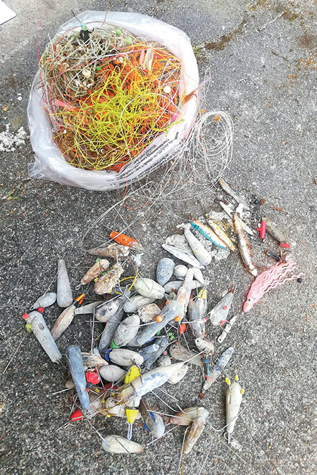 Discarded monofilament fishing line and lead weights