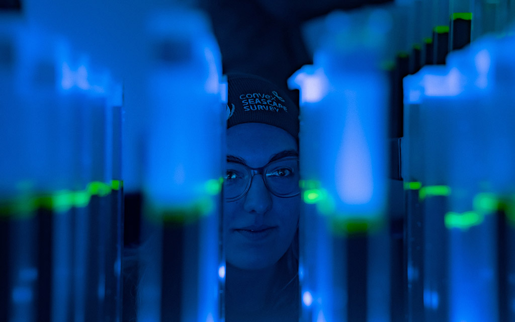 Convex Seascrape Survey expert examines array of samples in a lab environment