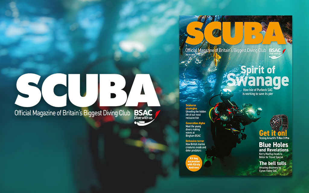 iSCUBA 163 front page