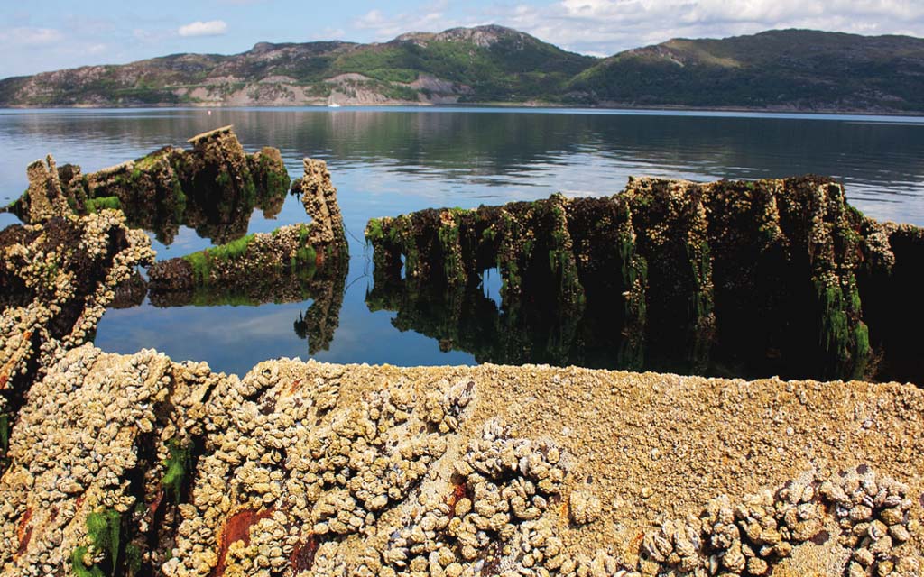 The wreck of HMS Port Napier breaks the surface of the Kyle of Lochalsh.