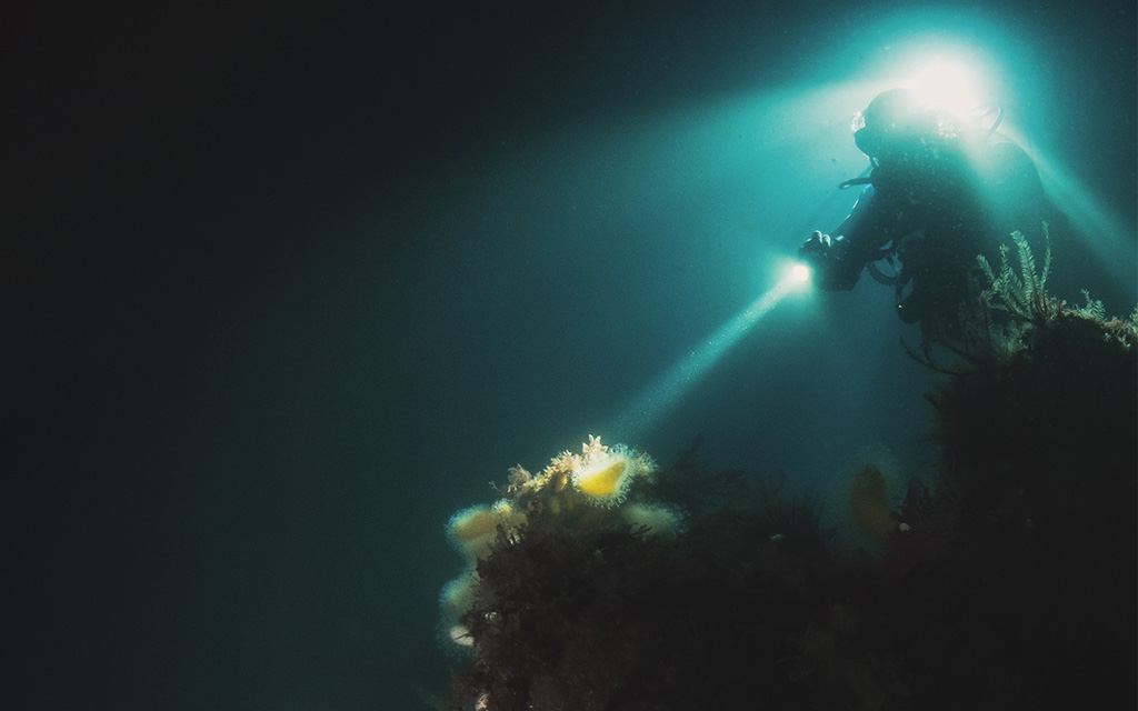 Matt Knowles of Burnley SAC explores the wreck of the Breda at night