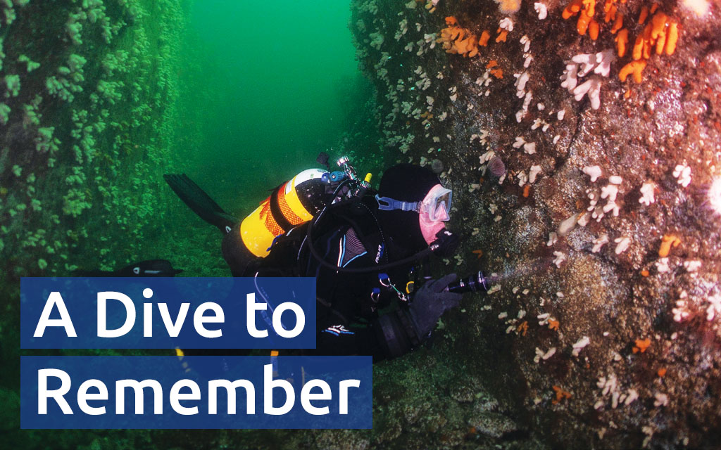 Tom Ingram explores the Anemone Gullies