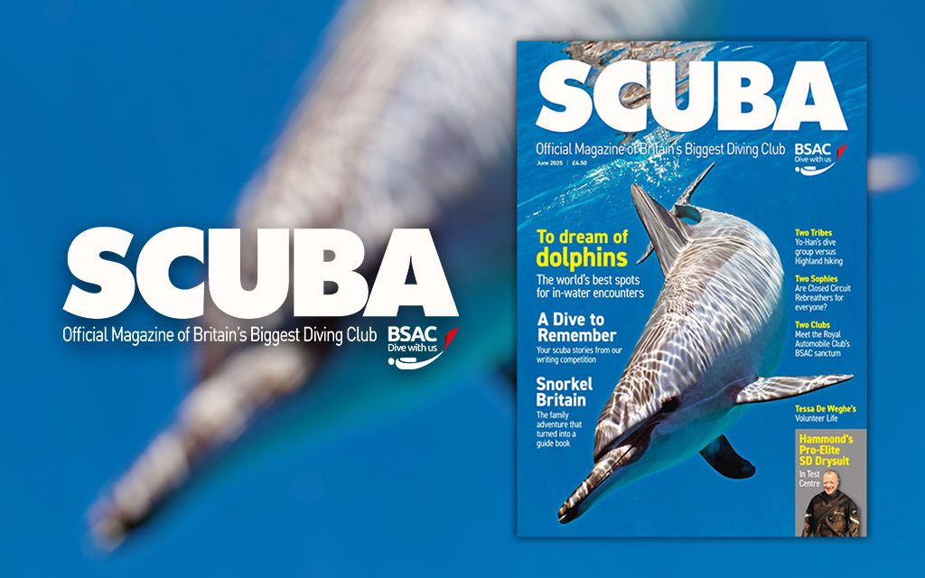 iSCUBA 156 front page