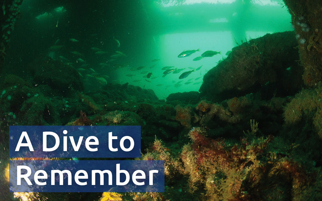 Submerged view from inside the SS James Eagan Layne wreck