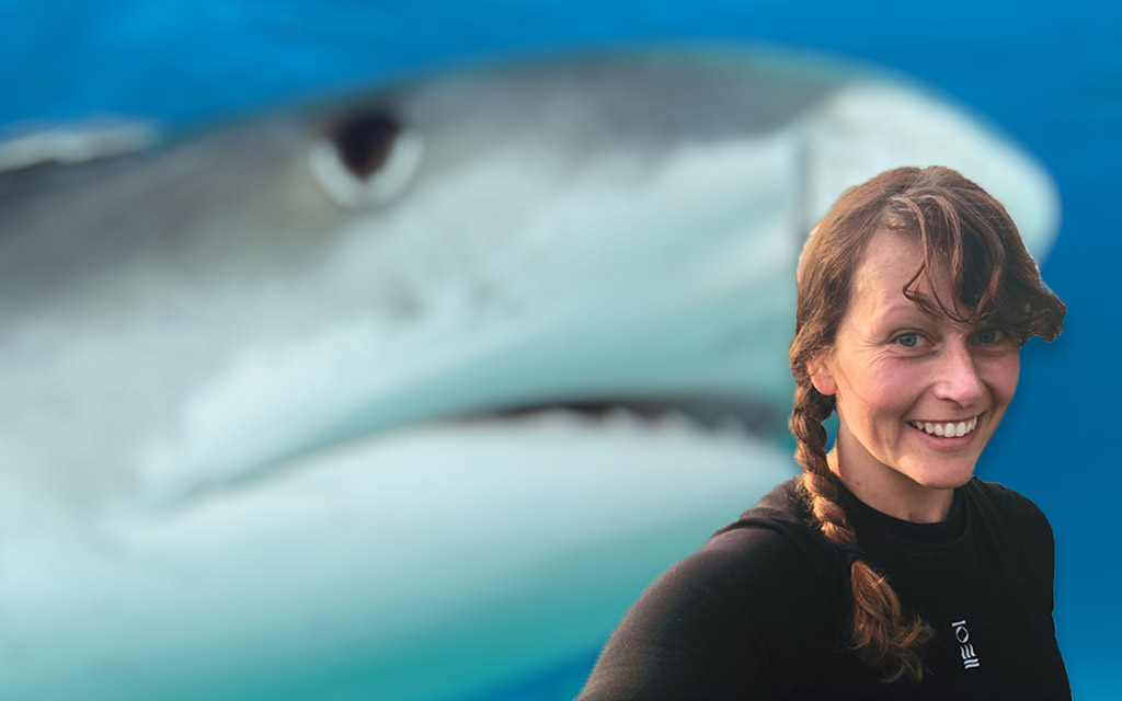 Cover image: Karen Boswarva portrait in the foreground, a great white shark in the background