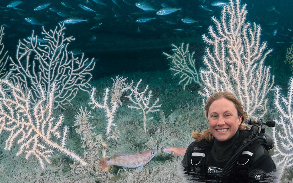 Pink sea fan colony on the Persier wreck overlaid with a portrait image of Kirsty Andrews