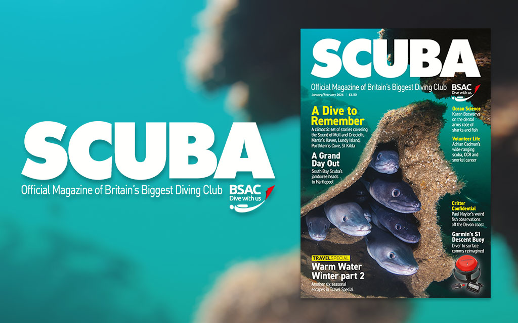 iSCUBA 162 front page