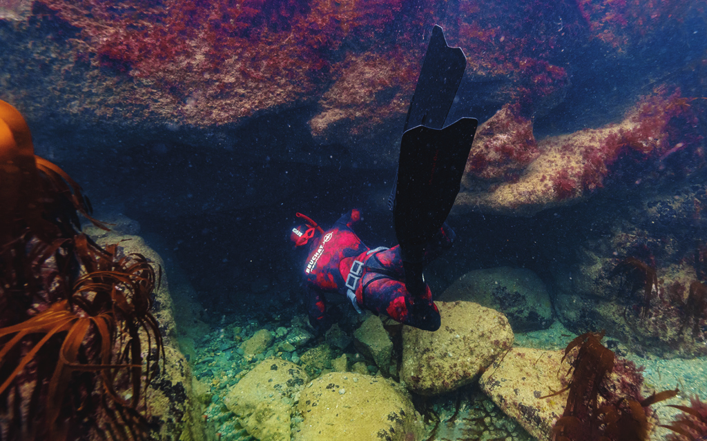 Andy Torbet underwater, peering into a mysterious hole in the harbour wall