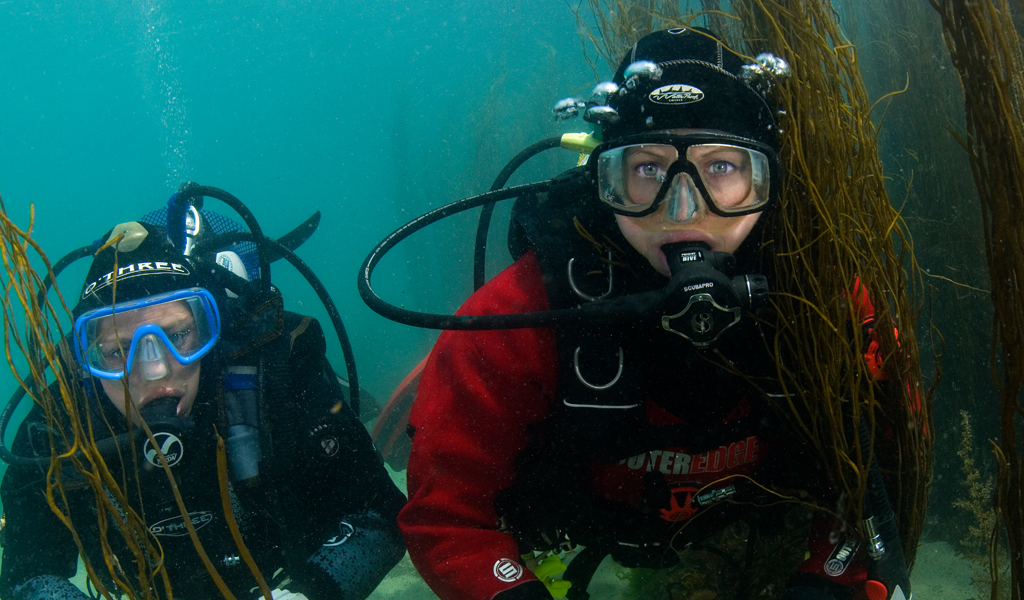 BSAC Diving Conference to go biennial