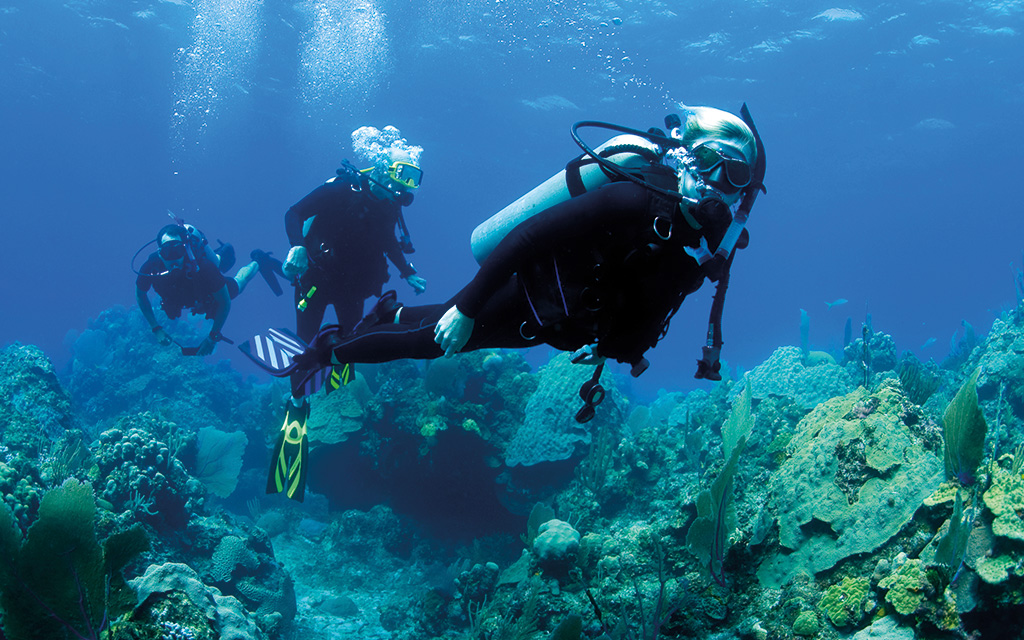 Person scuba diving in Egypt with fish