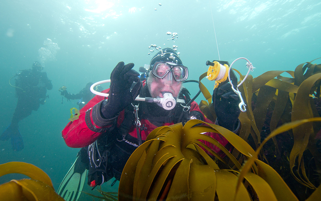 Diving in Highly Protected Marine Areas