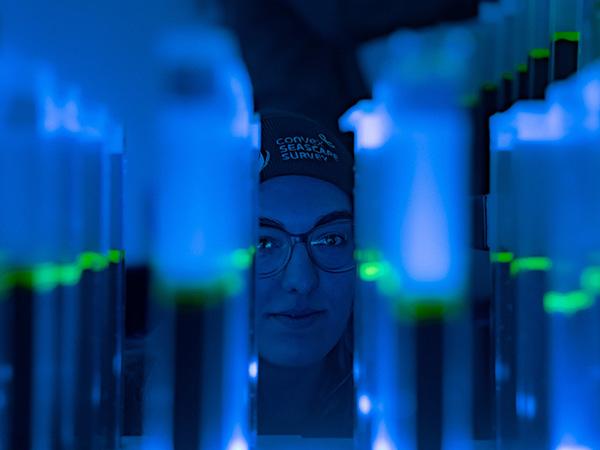 Convex Seascrape Survey expert examines array of samples in a lab environment