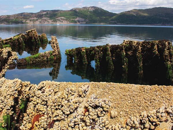 The wreck of HMS Port Napier breaks the surface of the Kyle of Lochalsh.