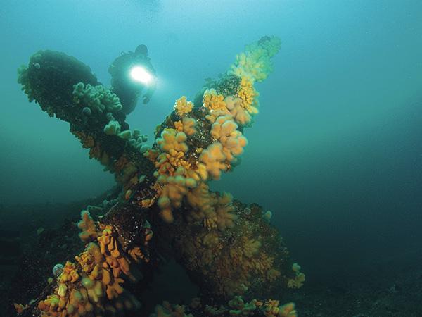 Diver in blue waters inspecting a barnacle covered propeller wreck with a flashlight