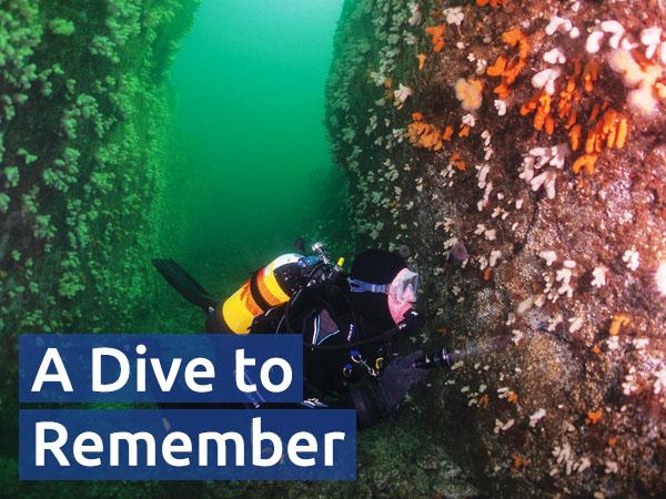 Tom Ingram explores the Anemone Gullies