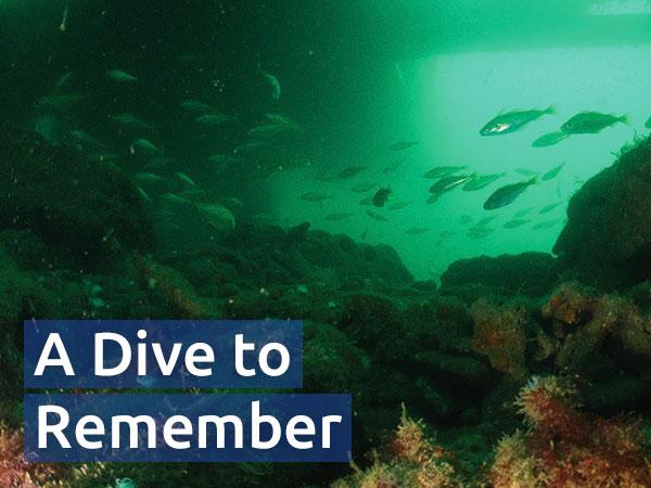 Submerged view from inside the SS James Eagan Layne wreck