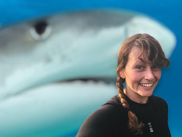 Cover image: Karen Boswarva portrait in the foreground, a great white shark in the background