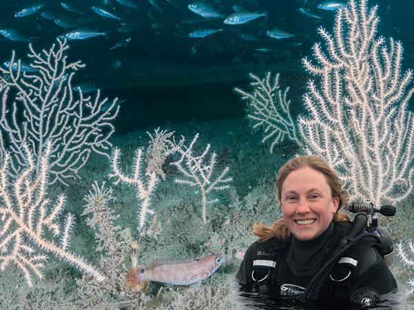 Pink sea fan colony on the Persier wreck overlaid with a portrait image of Kirsty Andrews