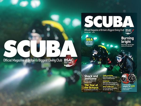 Thumbnail photo for November 2025 issue of iSCUBA