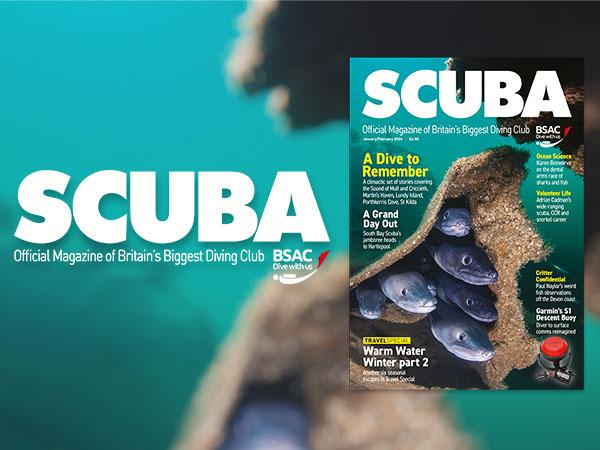 iSCUBA 162 front page