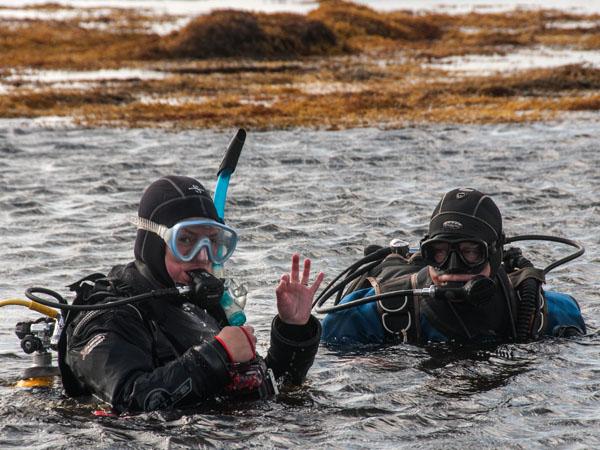 Thumbnail photo for Keep your buddies close and your anemones closer