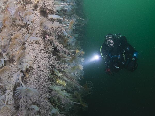 Thumbnail photo for The importance of good weighting and buoyancy