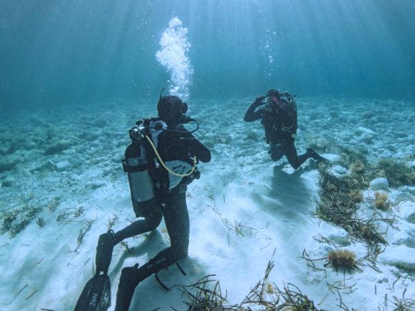 Thumbnail photo for Complete your BSAC diver training in Malta 