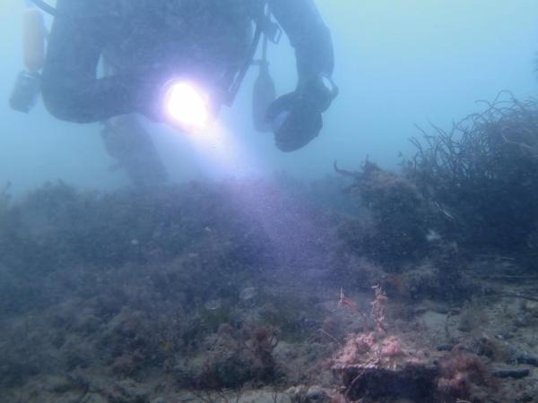 Thumbnail photo for More diving expeditions aimed at students